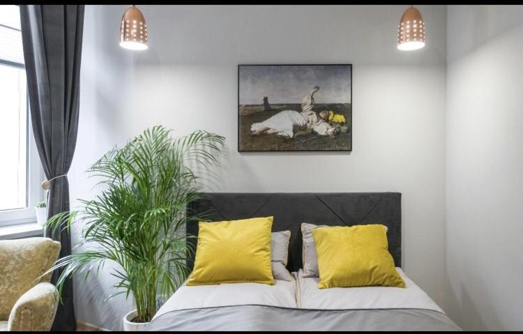 Apartament Kordeckiego 6, Viktor Kraków